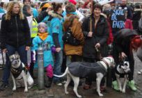 Stor hunde demonstration i kbh hundelov aflivning politi politikker christiansborg Linse Kessler Lars Bo Lomholt hunde racer forbud 13.10.2013