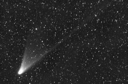 pan starr komet Avnø naturcenter 
