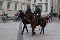 ridende politi kan opleves igen heste politi ridning klampenborg gallop 30 juni