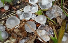 Hagl og blæst stormvejr torden lyn skybrud regn Næstved